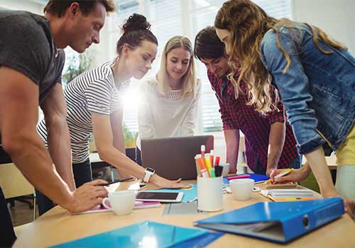 Custom Web Development Solutions